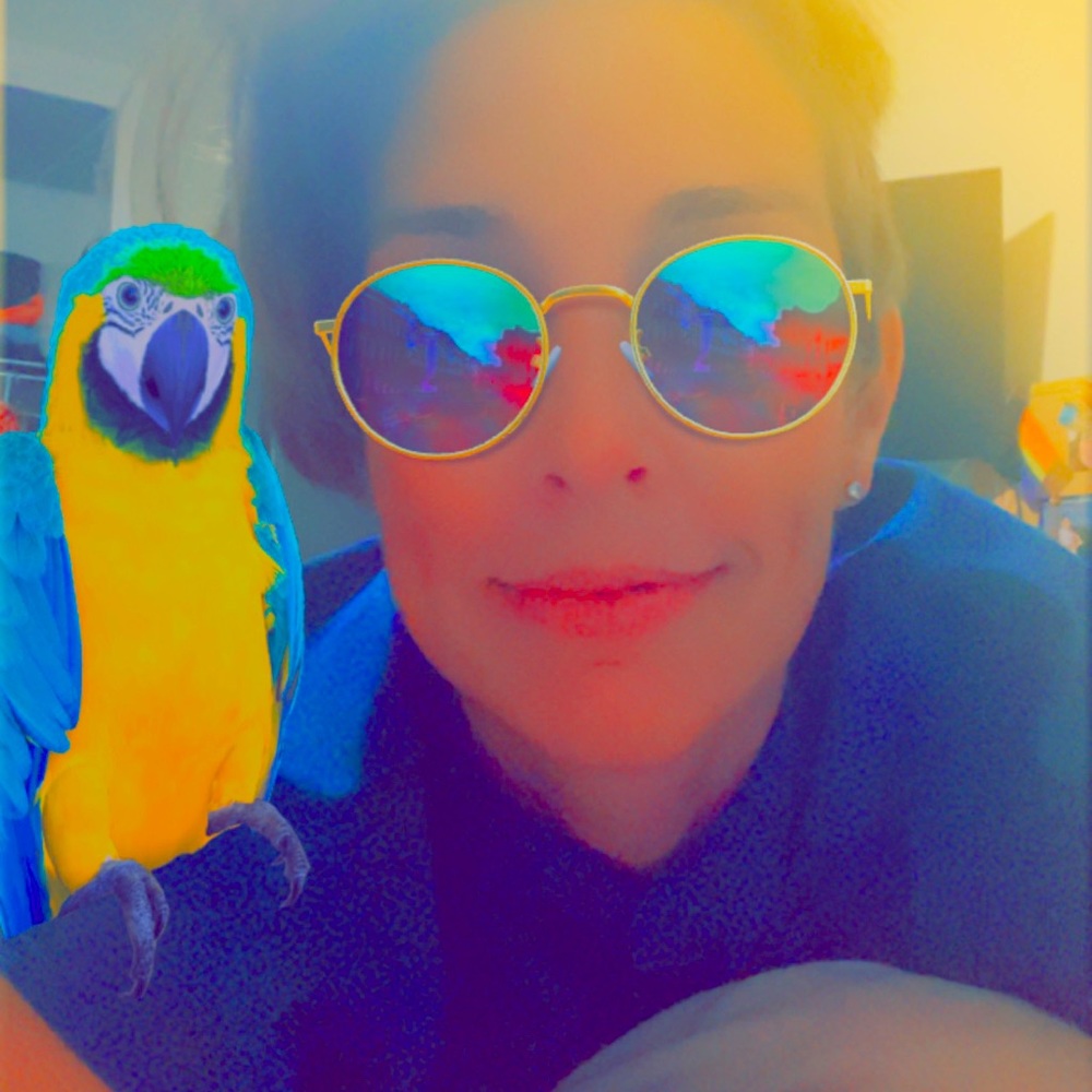 Meet your Posher, Lauren